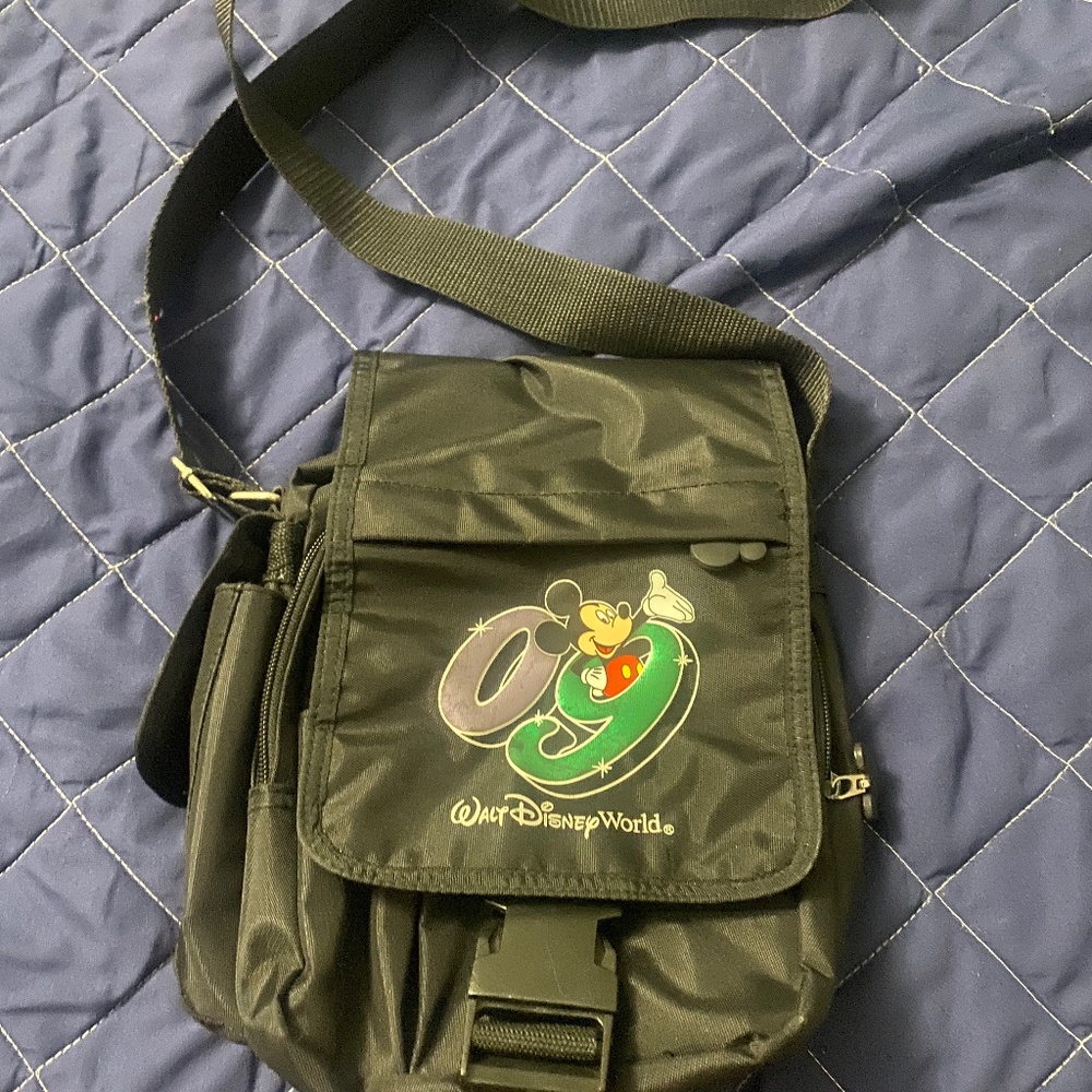 Disney Travel Bag